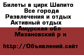 Билеты в цирк Шапито. - Все города Развлечения и отдых » Активный отдых   . Амурская обл.,Мазановский р-н